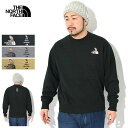 ザ・ノース・フェイス THE NORTH FACE トレーナー メンズ 25SS ズー ピッカー クルー スウェット ( 25SS Zoo Picker Cre...