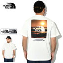 ザ ノースフェイス THE NORTH FACE Tシャツ 半袖 メンズ ナチュラル フェノメノン ( the north face Natural Phenomenon S/S Tee 2024春夏 ティーシャツ T-SHIRTS カットソー トップス メンズ MENS NT32459 ザ ノース フェイス THE NORTHFACE 国内正規 ) M便 1/1