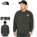 ザ・ノース・フェイス THE NORTH FACE トレーナー メンズ 25FW ズー ピッカー クルー スウェット ( the north face 25FW Zoo Picker Crew Sweat 2025秋冬 スエット トレナー トレイナー トップス NT12536-25FW ザ ノースフェイス THE・NORTHFACE 国内正規 )