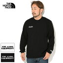 ザ・ノース・フェイス THE NORTH FACE ロンT Tシャツ 長袖 メンズ ファイン アルパイン ( Fine Alpine L/S Tee 2025秋冬 ティーシャツ T-SHIRTS カットソー トップス ロンティー 長袖Tシャツ NT82537 ザ ノースフェイス ザ ノースフェイス THE・NORTHFACE 国内正規 )