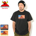 トイマシーン TOY MACHINE Tシャツ 半袖 メンズ アメリカン B.S.C ( TOY MACHINE American B.S.C S/S Tee ティーシャツ T-SHIRTS カットソー トップス メンズ 男性用 USAモデル TSSTM3143 )[M便 1/1] ice field icefield