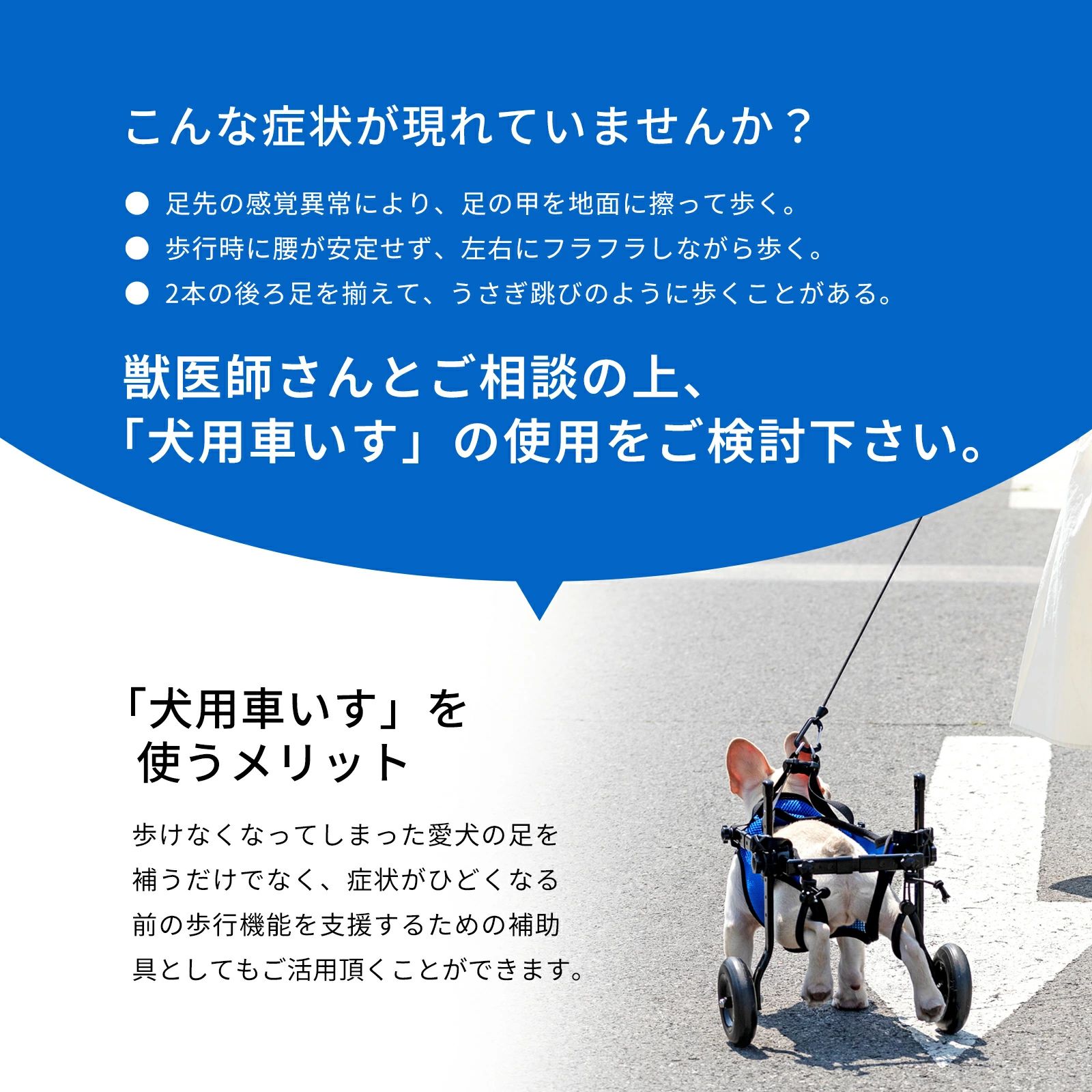 犬用車いす 犬用車椅子 後ろ足 リハビリ 介護 歩行器 歩行補助具 ドッグウォーカー...