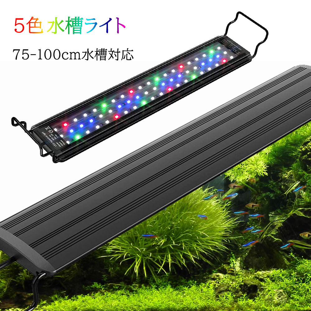 寿工芸 LED SS 600 BK ペット