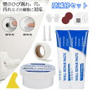 P10倍☆15日限定全品10%OFF!【壁補修剤・2本セット】SEISSO 壁 穴 補修 セット すきまパテ 壁 キズ補修 100g 250g ネジ穴補修 乾式...