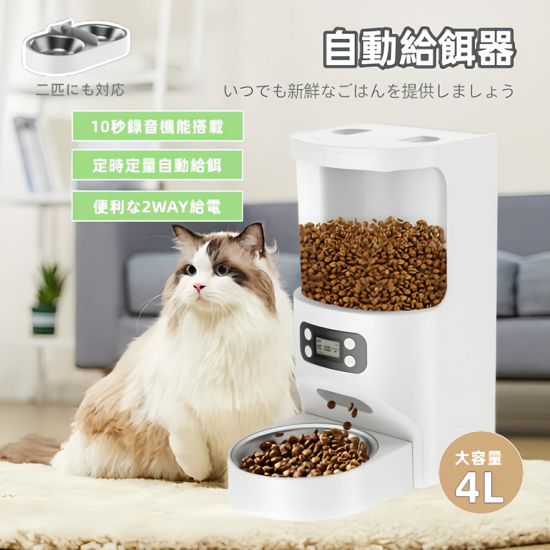 【新入荷】自動給餌器 猫 犬 多頭飼い 餌やり機 1日5食 タイマー 4L大容量 Iseebiz ペットフィーダー キャットフード…