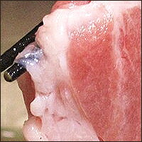 幻の沖縄アグー豚 金城アグーしゃぶしゃぶセット1800g(うで肉900g・肩ロース900g) しゃぶしゃぶ専用あぐー豚しゃぶ 冷しゃぶ! longp