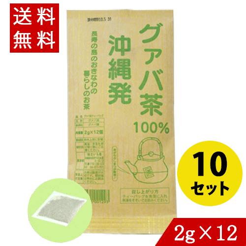 グァバ茶100％ (2g×12袋)×10 ティーパ