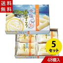 雪塩ちんすこう ミルク風味 48個入×5 | ちんすこう その1