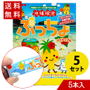 ぷっちょ パイナップル味 5本入り×5セット 沖縄県限定