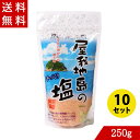 屋我地島の塩 詰替え 250g×10