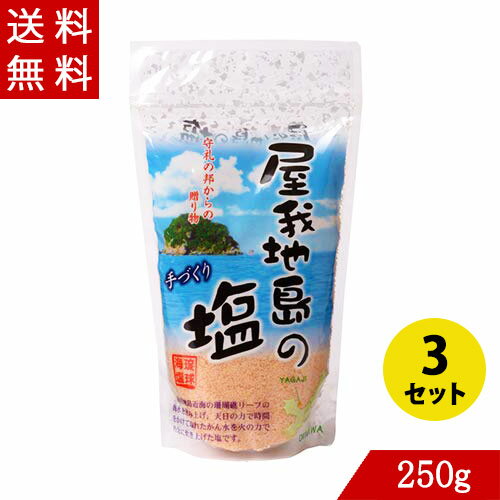 沖縄 塩 屋我地島の塩 詰替え 250g×3 屋我地の塩