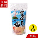 屋我地島の塩 詰替え 250g×3