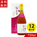 泡盛梅酒 梅見月(うめみづき)12度 720ml×12 今帰仁酒造