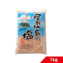 沖縄 塩 屋我地島の塩 詰替え 1kg 屋我地の塩