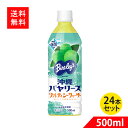 沖縄バヤリース ソルティシークヮーサー PET 500ml 24本入り 沖縄限定 塩分補給