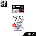 洗濯槽クリーナー 洗濯槽のカビ丸洗浄 滅カビ A剤200g、B剤25g | 洗濯槽の滅カビ 洗浄 洗濯槽 除菌 抗菌 ニオイ カビに 銀系無機抗菌剤