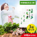 琉球野草酵素(300mg×60粒) 約1ヵ月分×3袋セットしまのや 栄養機能食品 サプリメント 沖縄 やさい 酵素 サプリ 青パパイヤ