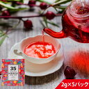 35コーヒー ハイビスカスティ マンゴーフレーバー 2g×5P テトラパック 沖縄限定 トロピカルティ 紅茶 カクテル デザート 料理 環境保護 スリーファイブ...