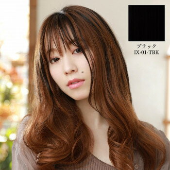プリシラ めちゃ楽インナーエクステ 耐熱 ブラック IX-01-TBK【同梱・代引き不可】 プリシラ めちゃ楽インナーエクステ 耐熱 ブラック IX-01-TBK【同梱・代引き不可】