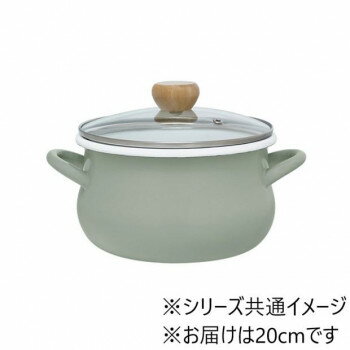 th ストクック　IH対応ホーロークッキングポット20cm(グリーン) RB-3248【同梱・代引き不可】