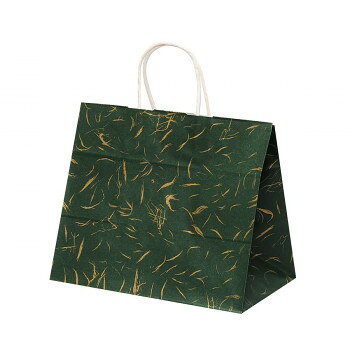自動手提袋　HV68　風雅グリーン 50枚 XZK00918【同梱・代引き不可】