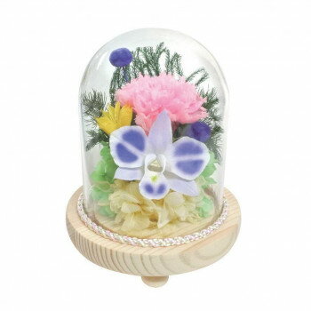 お供え用(仏花) ガラスドームアレンジメント プリザーブドフラワー 栞(しおり) C32520【同梱・代引き不可】