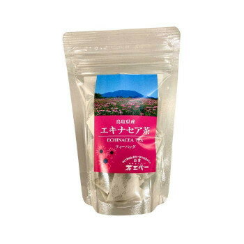 エキナセア茶　ティーバッグ(1g×10個入)×10セット【同梱・代引き不可】