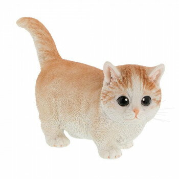 Benny's ベニーズキャット(マンチカン) QB-010BR【同梱・代引き不可】 Benny's ベニーズキャット(マンチカン) QB-010BR【同梱・代引き不可】