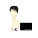 プリシラ 男性用5分ウィッグ ボリュームショート 耐熱 ブラック GB-23-TBK【同梱・代引き不可】