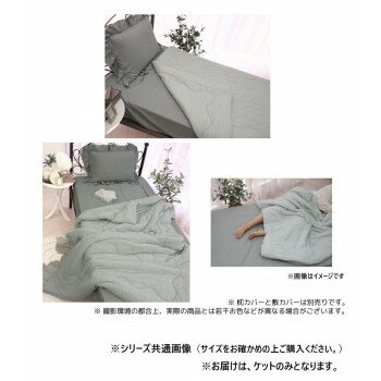 レーヨンひんやりケット　ダブル　ピスタチオグリーン　SN-37-300-52【同梱・代引き不可】