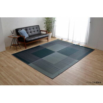 ラグ 長方形 夏用 ふっくら い草 191×250cm ネイビー 1050950193904【同梱・代引き不可】 ラグ 長方形 夏用 ふっくら い草 191×250cm ネイビー 1050950193904【同梱・代引き不可】