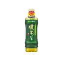 【ケース販売】伊藤園 PETお〜い濃い茶 600ml 【×48本セット】機能性表示食品【代引不可】(同梱・代引き不可)(4)