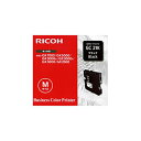 yiz RICOH R[ CNJ[gbW/gi[J[gbW yGC21K BK ubNz (Es)