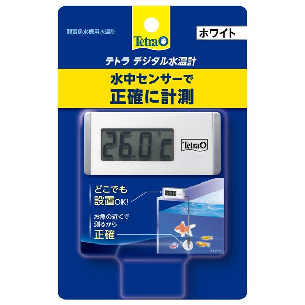 （まとめ）デジタル水温計 ホワイト WD-1 (観賞魚/水槽用品)(同梱・代引き不可)