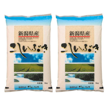 令和3年産 新潟産こしいぶき 10kg (5kg×2個) 2021年度産 米 精米 白米 食品 産地直送 お米 白米 ご飯 [代引/同梱不可]