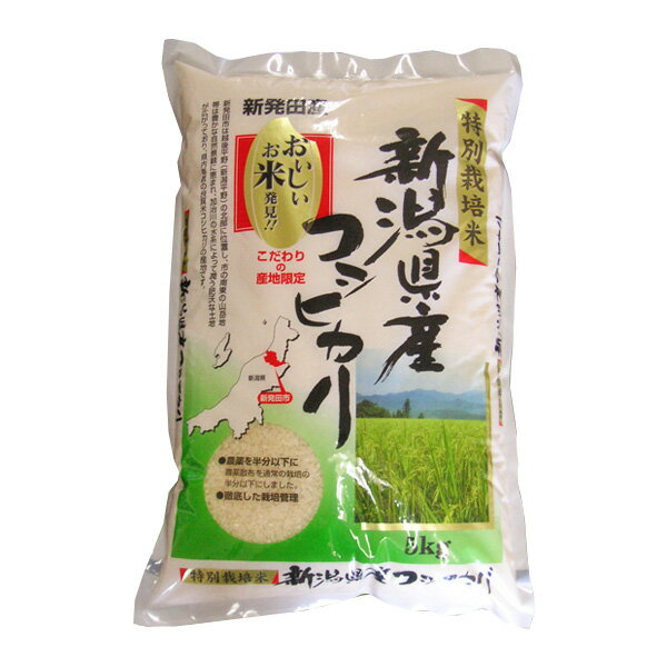 令和5年産 新潟県産 コ