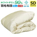羽毛布団 セミダブル 洗える ホワイトダックダウン 90% 1年保証 日本製 抗菌 防臭 春・夏用 アレルGプラス 掛け布団 肌掛け布団 羽毛肌布団 夏布団 肌布団 ふとん 布団 ダウンケット CIL 冷房対策 新生活 A769DZ 【代引不可】