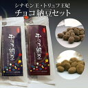 【最大2000円OFFクーポン配布中】 チョコ納豆セット 当店限定オリジナルセット グリーンパール納豆本舗 国産 宮城県産 スイーツ おやつ おつまみ 義理チョコ 【代引不可】