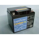 イーグルピッチャー(EaglePicher) CF12V38DC メンテナンスフリー ディープサイクルバッテリー 【同梱不可】