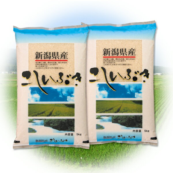 令和3年産 新潟産こしいぶき 10kg (5kg×2個) 2021年度産 米 精米 白米 食品 産地直送 お米 白米 ご飯 [代引/同梱不可]