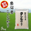 令和5年産 魚沼産コシヒカリ 5kg 米 2023年度産 とれたての美味しさ ご贈答にも最適 お米 白米 ご飯 産地直送 国産 【代引/同梱不可】 2