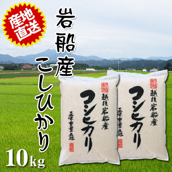 ★エントリーでP3倍 23日9:59迄★ 令和元年産 岩船産コシヒカリ 10kg(5kg×2個) とれたての美味しさ ご贈答にも最適 2019年産 【代引不可】