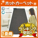 【送料無料】 ホットカーペット 1畳用 90×180cm TEKNOS(テクノス) カーペット本体 TWA-1000B