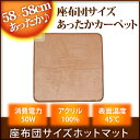 【送料無料】 ミニマット TEKNOS(テクノス) 58×58 座布団マット EC-KZ60M