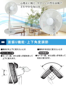 【土日祝も発送】 リビング扇風機 シンプル 30cm羽根 扇風機 リビングメカ扇風機 首振り メカ式 フラットガード 扇風機冷房 夏 一人暮らし おしゃれ ホワイト TEKNOS(テクノス) KI-1735-W