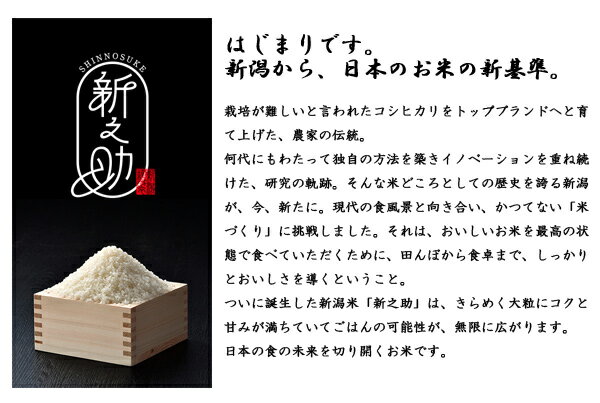 ★エントリーでP3倍 23日9:59迄★ 令和元年産 新潟県産 新之助 10kg (5kg×2袋) 白米 (精米済) 冷めてもおいしい プレミアム米 2019年産 食品 【代引不可】【同梱不可】