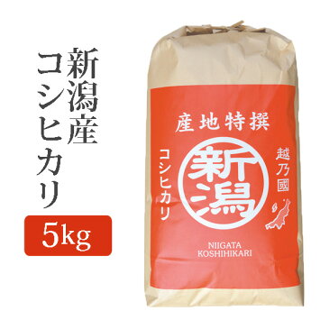 玄米 新潟県産コシヒカリ こしひかり 玄米 5Kg (5キロ) 令和元年産 2019年産 玄米 新潟産 コシヒカリ n-koshihikari-g5k 【代引/同梱不可】