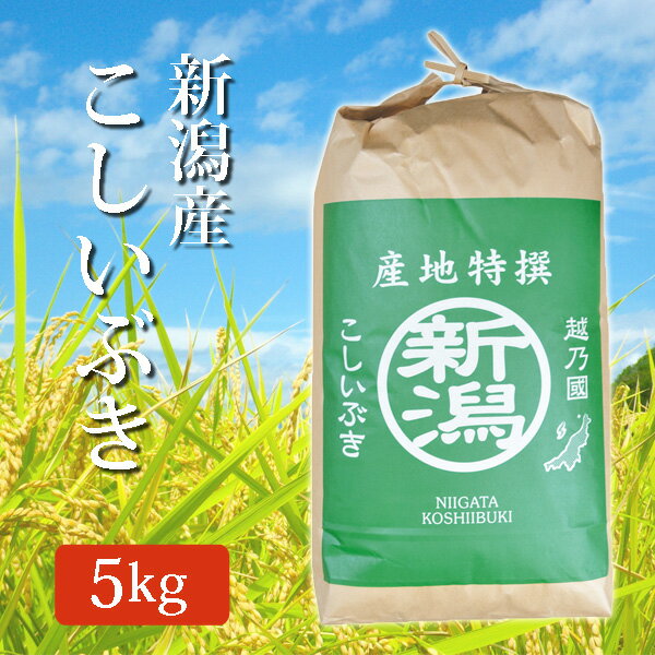 [P5倍 19日20:00〜23日1:59] 令和3年産 新潟県産こしいぶき 玄米 5Kg (5キロ) 2021年度産 玄米 コシイブキ 玄米 新潟産 コシイブキ ご飯 [代引/同梱不可]