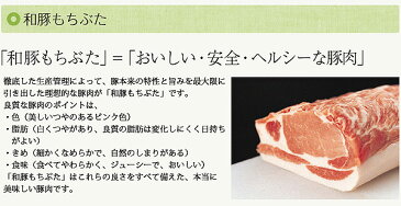 豚肉 国産 宮城県産 角煮 煮豚 ベーコン ハムブロック ソーセージ ピリ辛ソーセージ 加工品詰め合わせ 肉 お肉 食品 もちぶた C03 【代引/同梱不可】