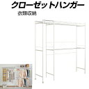クローゼットハンガー 衣類収納 収納 ジャケット コート スカート ワンピース ブラウス 掛け 収納 CL-266 【代引不可】
